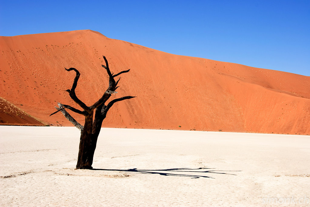 Namibia 2007